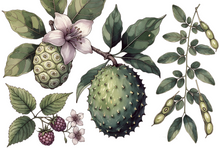 Load image into Gallery viewer, NONI SOURSOP RASPERRY MORINGA FACIAL BARRIER SERUM