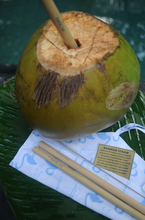 BAMBOO STRAWS