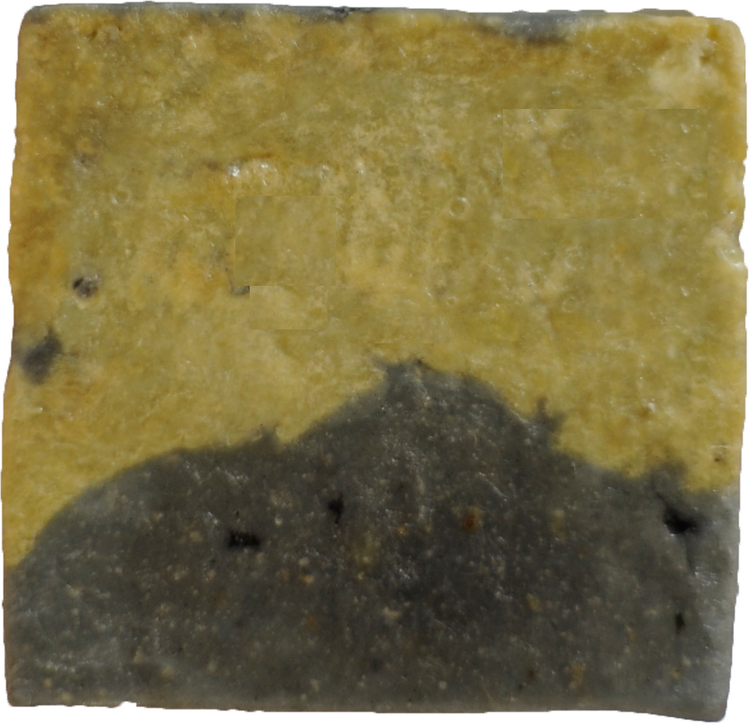 TEA TREE MORINGA BAR